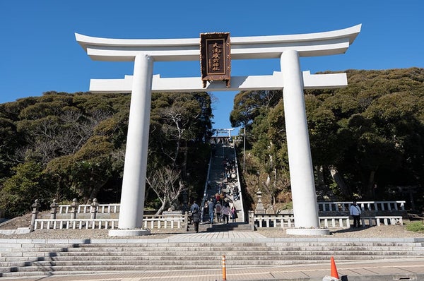 ★10/24 催行決定★【横浜発】真っ赤に染まるひたち海浜公園と那珂湊おさかな市場でのお買い物!”ふわふわもこもこ”のコキアを満喫!2